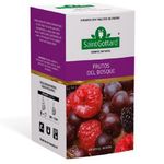 TE-SAINT-GOTTARD-FRUTOS-BOSQUE-X40GR-20-1-3445