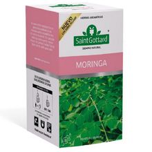 TE SAINT GOTTARD MORINGA X30GR X20SAQ