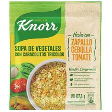 SOPA KNORR DE VEGETALES C/PASTA TRICOLOR X107GS