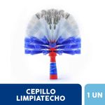 CEPILLO-LIMPIATECHO-LA-GAUCHITA-1-5019