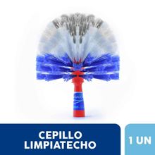 CEPILLO LIMPIATECHO LA GAUCHITA