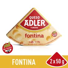 QUESO FUNDIDO ADLER FONTINA X100GR.