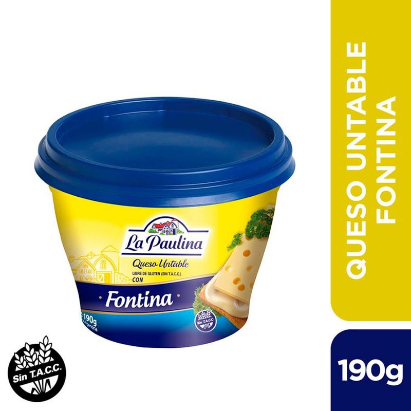 QUESO-UNTABLE-LA-PAULINA-FONTINA-X190GR-1-5904