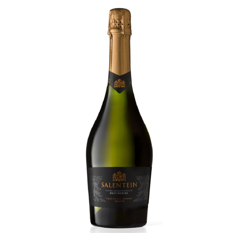 CHAMPAGNE-SALENTEIN-BRUT-NATURE-X750ML-1-8567