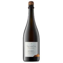 CHAMPAGNE TRUMPETER EXTRA BRUT X750ML