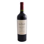 VINO-SAN-FELIPE-MALBEC-X750CC-1-8259