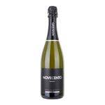 CHAMPAGNE-NOVECENTO-EXTRA-BRUT-X750CC-1-8838