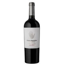 VINO CINCO SENTIDOS RVA MALBEC X750ML