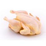 POLLO-SAPUCAI-PREMIUM-XKG-1-1684