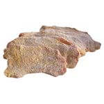MILANESAS-CARNE-CARNICERIA-XKG-1-9634