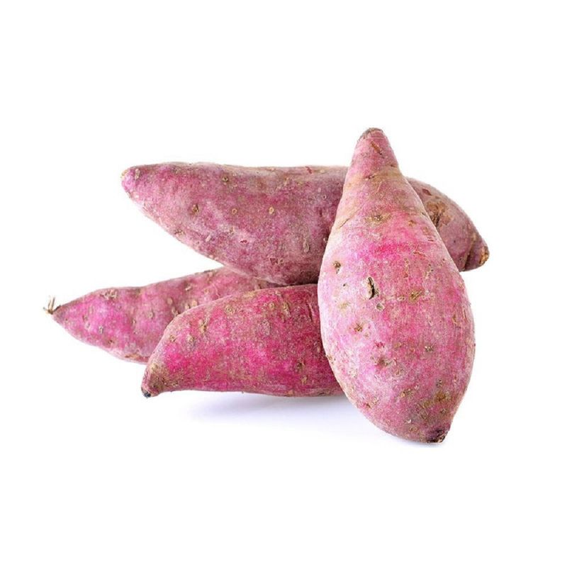 BATATA-XKG-1-9668
