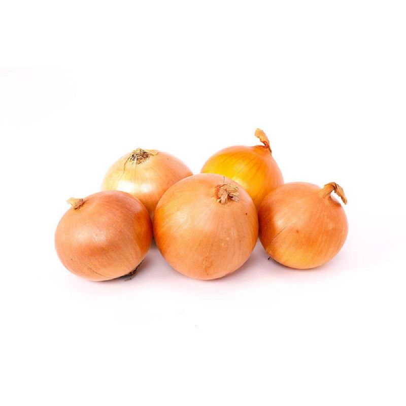 CEBOLLA-XKG-1-9670