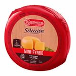 QUESO-MINIFYNBO-SSMA-XKG-S-LACTOSA-1-629