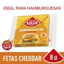 QUESO CHEDAR ADLER FETAS X144GR