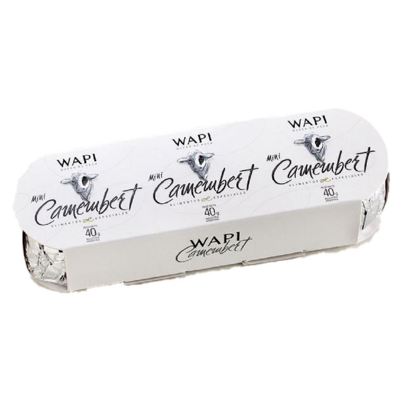 QUESO-MINI-CAMEMBERT-WAPI-X120GR-1-10025