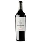 VINO-CINCO-SENTIDOS-RESERVA-CABERNET-SUA-X750ML-1-8433