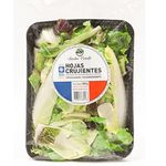 ENSALADA-HOJAS-CRUJIENTES-SUE-O-VERDE-X300GR-1-10874