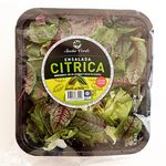ENSALADA-CITRICA-SUE-O-VERDE-X200GR-1-10880