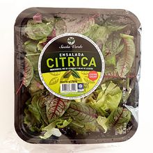 ENSALADA CITRICA SUEÑO VERDE X200GR