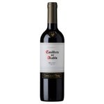 VINO-CASILLERO-DEL-DIABLO-MALBEC-X750ML-1-9228