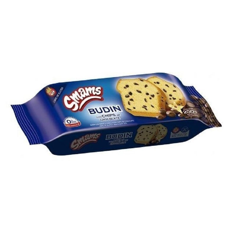 BUDIN-SMAMS-C-CHIPS-CHOC-200G-1-10973