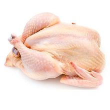 POLLO FRESCO ENTERO XKG