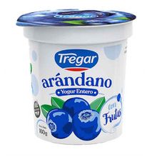 YOGUR TREGAR ENTERO ARANDANOS X160GR