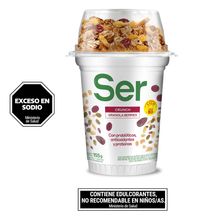 YOGUR SER C/GRANOLA BERRIES X155GR