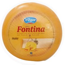 QUESO FONTINA TREGAR XKG