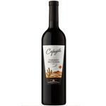 VINO-CAFAYATE-CABERNET-SAUVIGNON-X750CC-1-8740