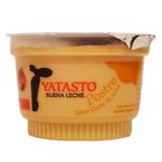 POSTRE-YATASTO-DULCE-DE-LECHE-X100GR-1-12956