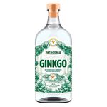 GIN-PATAGONIA-GINKGO-OW-500CC-1-12379