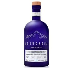 GIN ACONCAGUA HANDCRAFTED X750ML