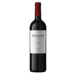 VINO-BENJAMIN-NIETO-MALBEC-X750ML-1-13170