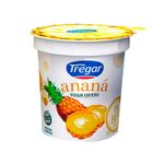 YOGUR-TREGAR-C-FRUTA-ANANA-X160GR-1-13205