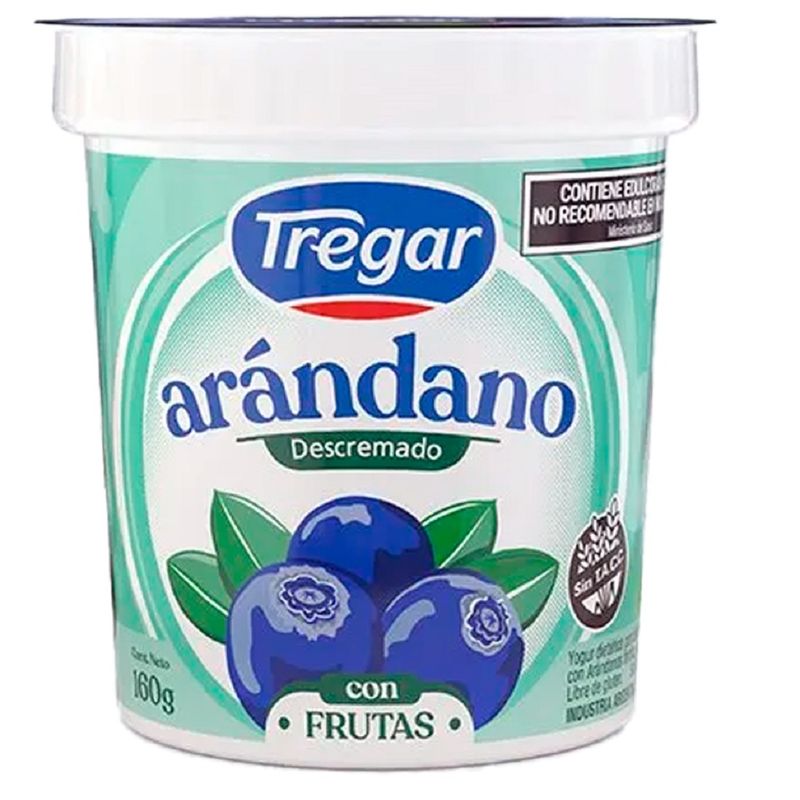 YOGUR-TREGAR-ARANDANOS-DESC-C-FRUT-X160GR-1-13005