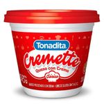 QUESO-CREMETTE-TONADITA-X290GR-1-13497