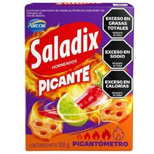 SALADIX PICANTE HORNEADAS X 100 GR