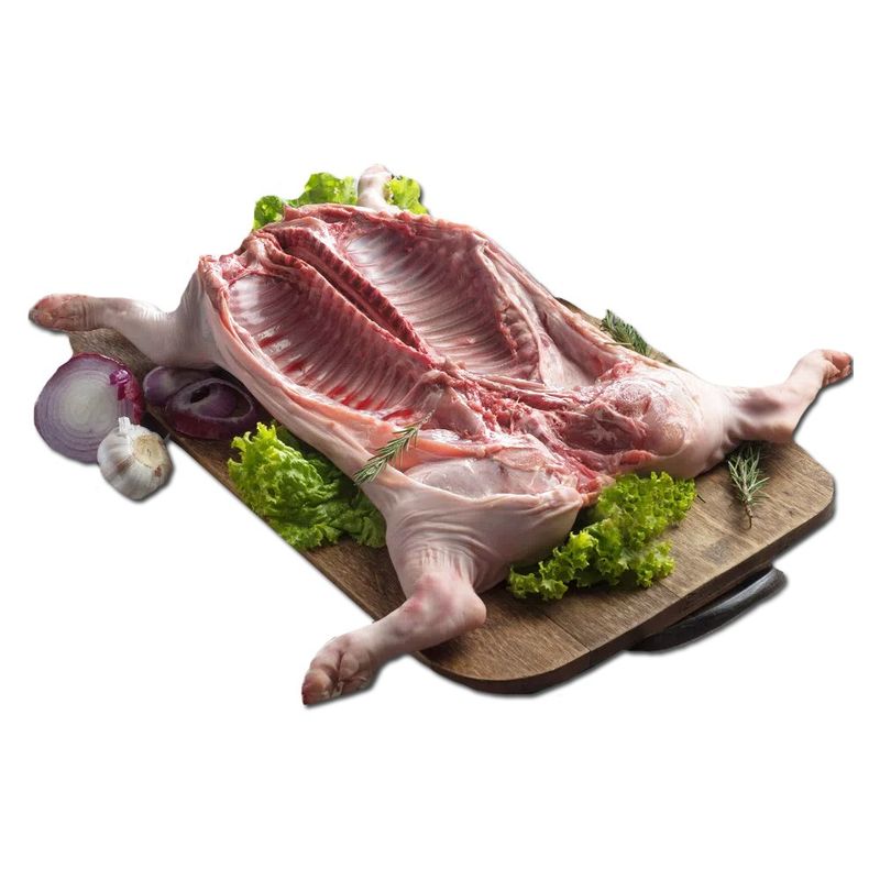 LECHON-XKG-1-9507
